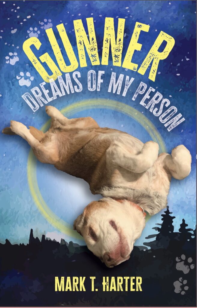 Cover of the novel Gunner, Dreams of My Person.